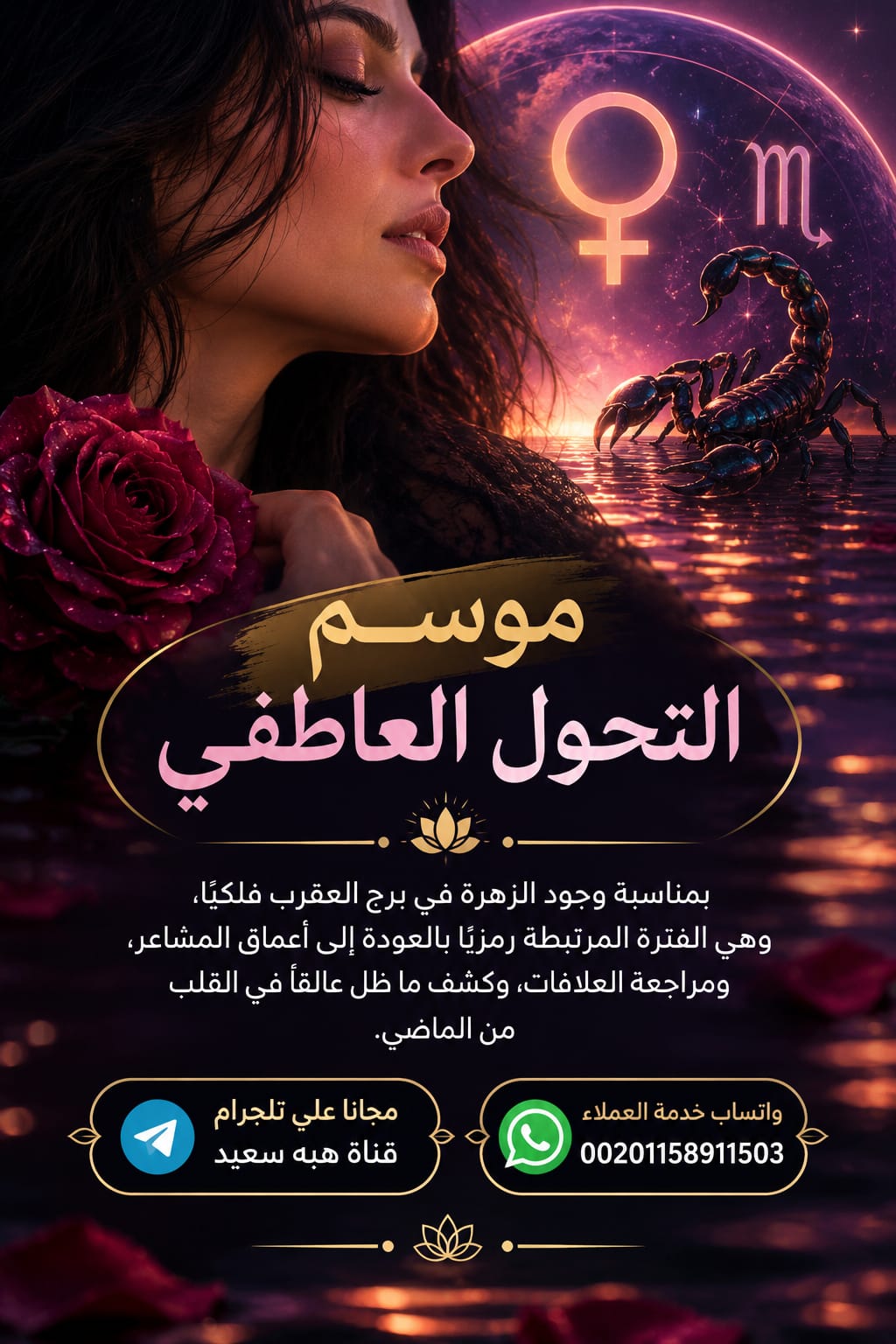 Heba Saied Launches Free “Emotional Transformation Season” Program on Telegram