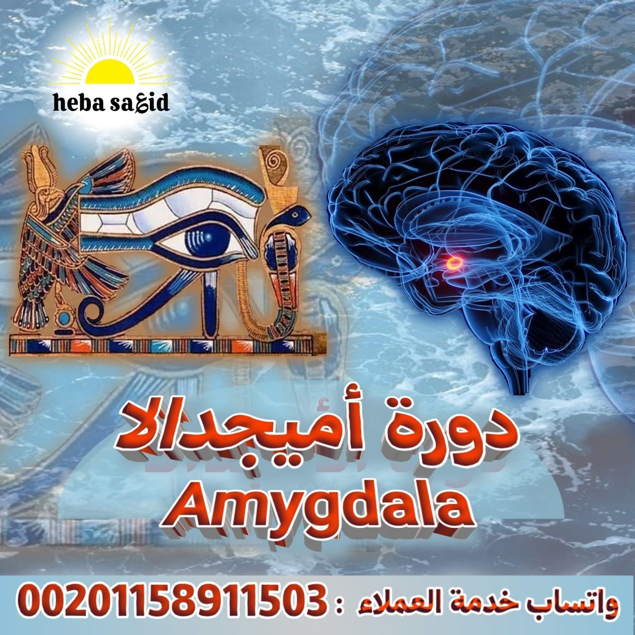 "Amygdala" Course Launched to Explore the Brain's Role in Emotional Regulation and Stress Awareness