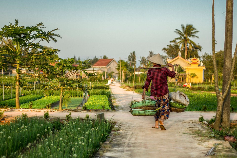 Agriculture Is Not a Job – It’s a Way of Life