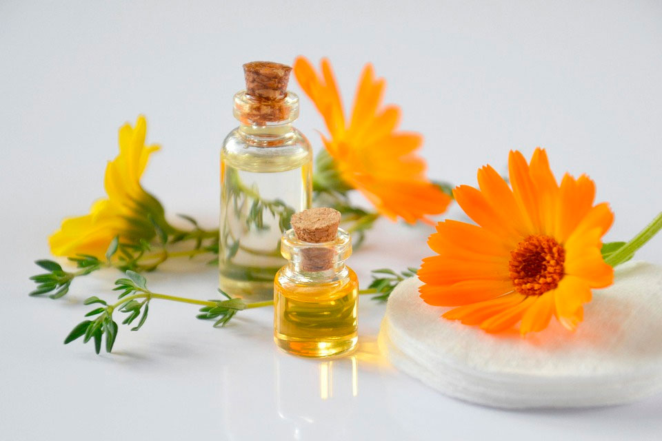 Science in the Service of Beauty
