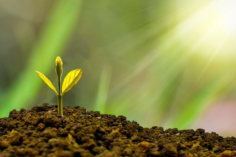 Sustainability Begins with a Small Idea