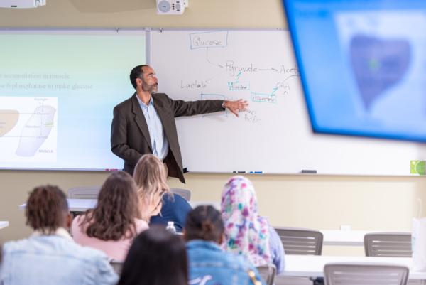 Confirmation of “Team Work Management” Course with Trainer Mazen Hasan